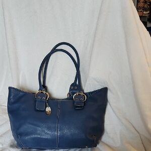 Tignanello Blue Leather Tote Bag with Structured Design
